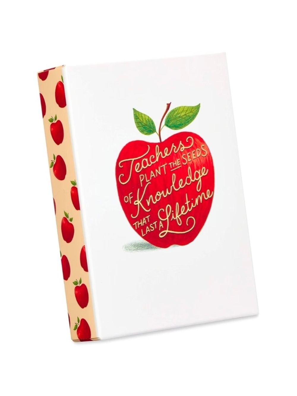 Papyrus - Teacher Apple Themed Card & Envelope Set